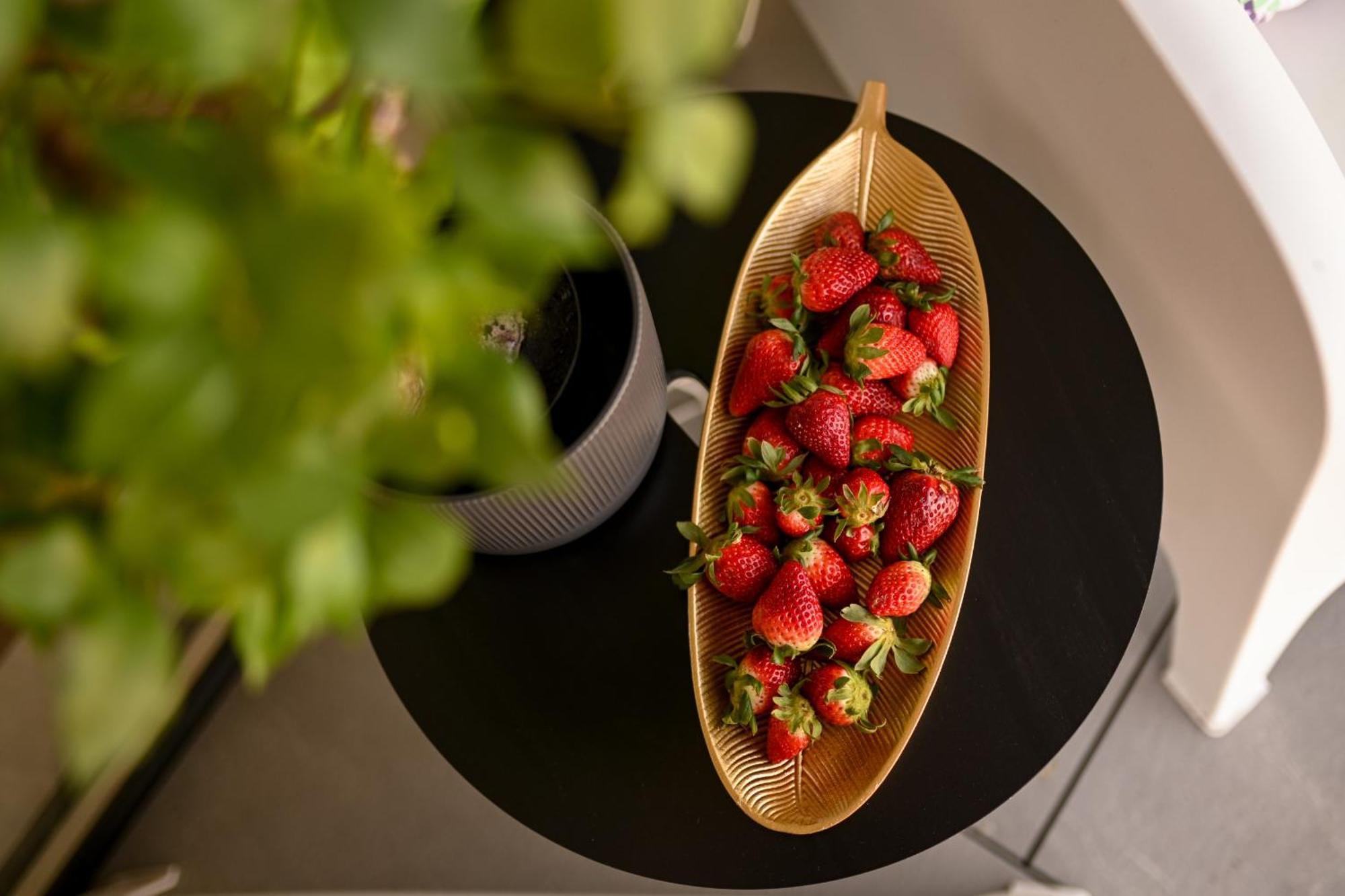 One Verdi Park Exclusive Apartments - Panoramic View & Private Parking Bukarest Rum bild