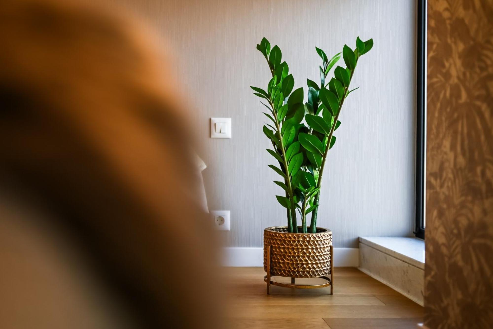One Verdi Park Exclusive Apartments - Panoramic View & Private Parking Bukarest Rum bild